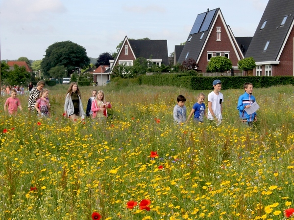 foto: Gerdien Bos - Vlinderstichting