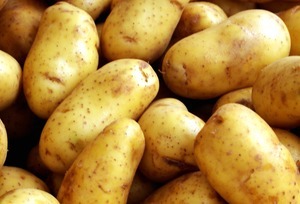 Gewasbeschermingsmiddel potatoprid verboden in aardappelteelt